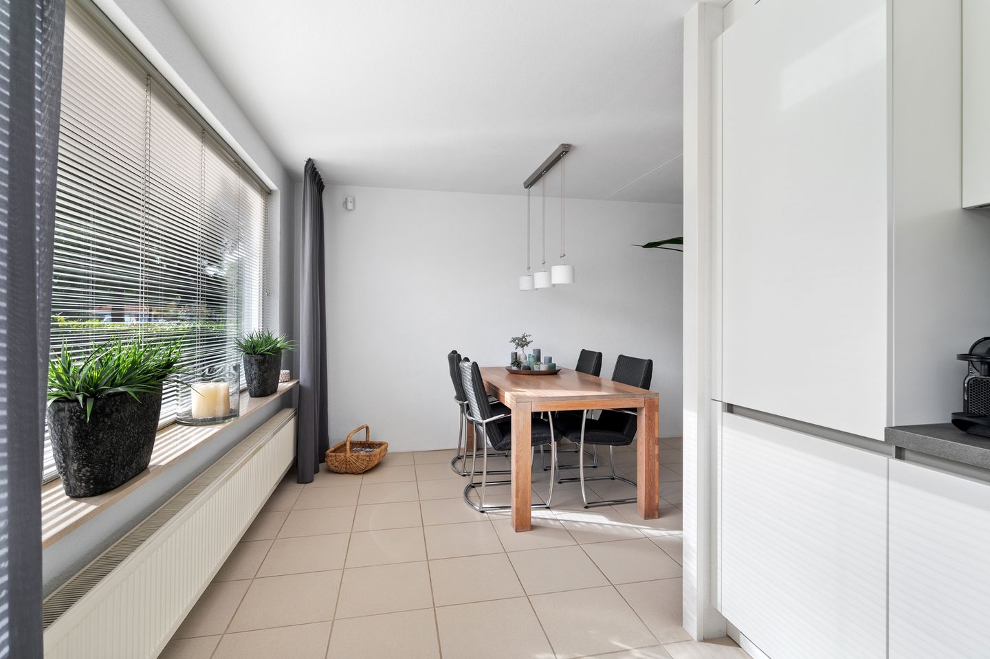 Foto 19 van Struisvaren 1