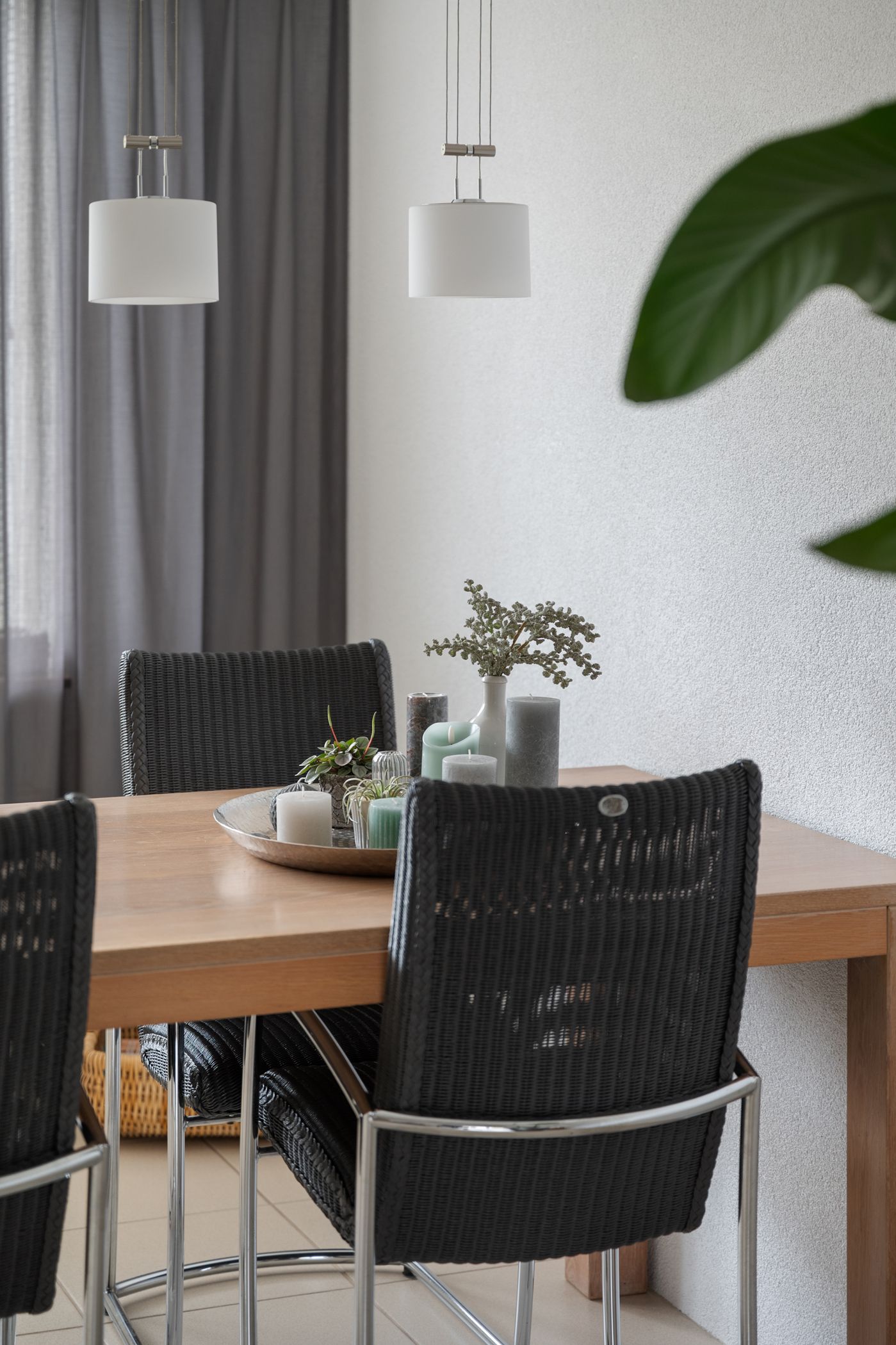 Foto 20 van Struisvaren 1