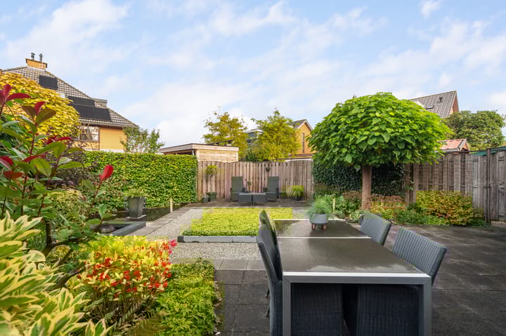 Foto 21 van Struisvaren 1