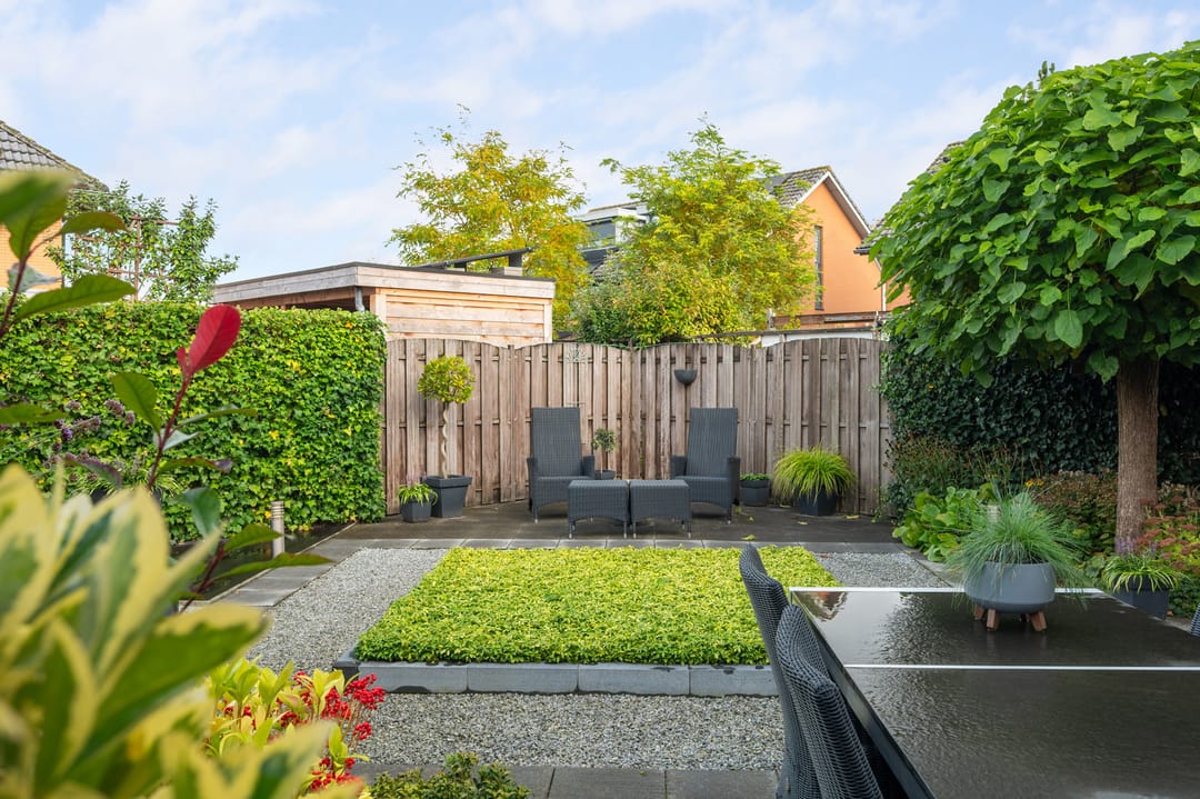 Foto 22 van Struisvaren 1