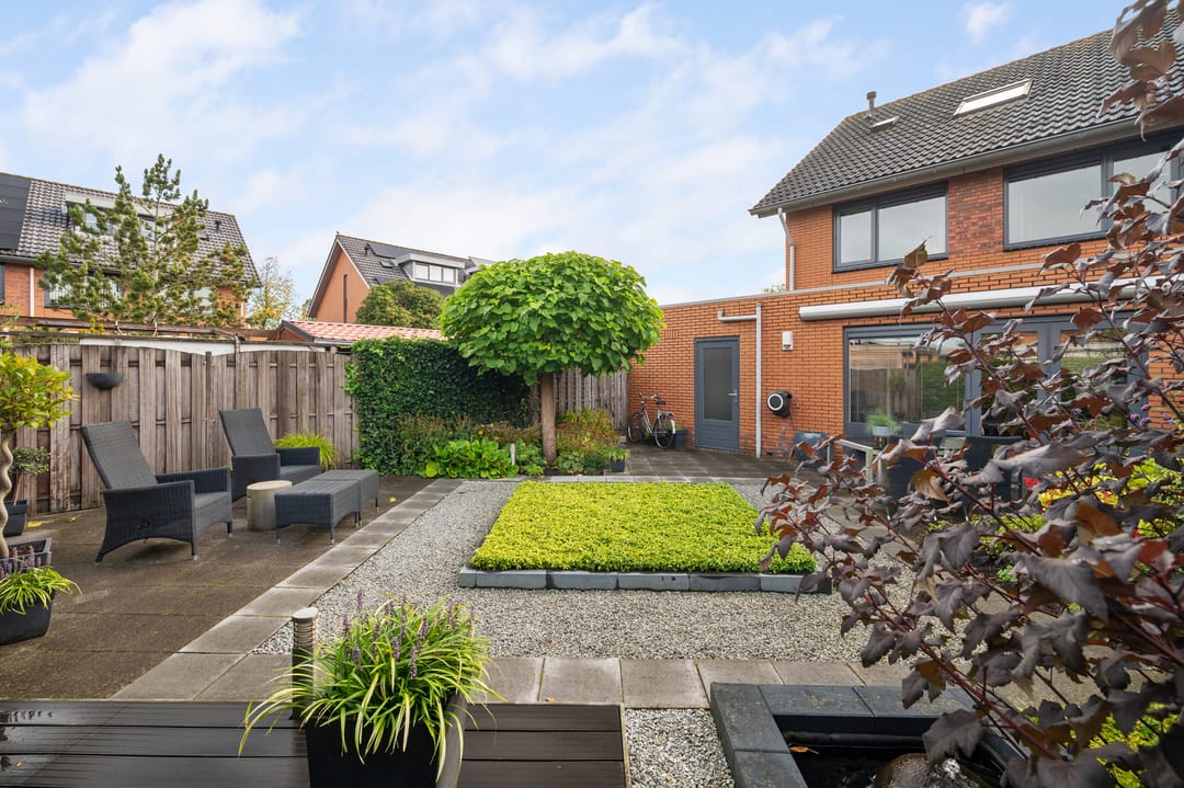 Foto 26 van Struisvaren 1