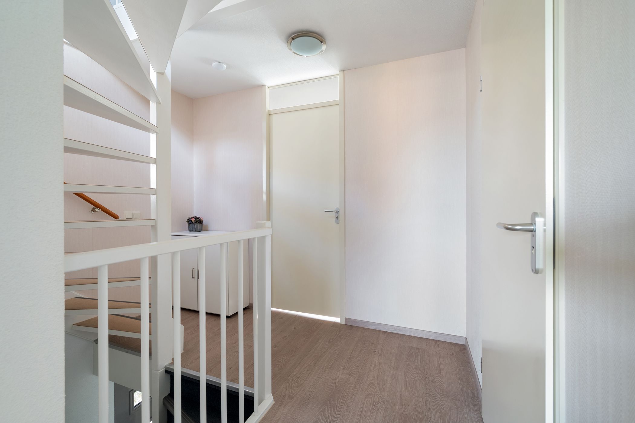 Foto 27 van Struisvaren 1