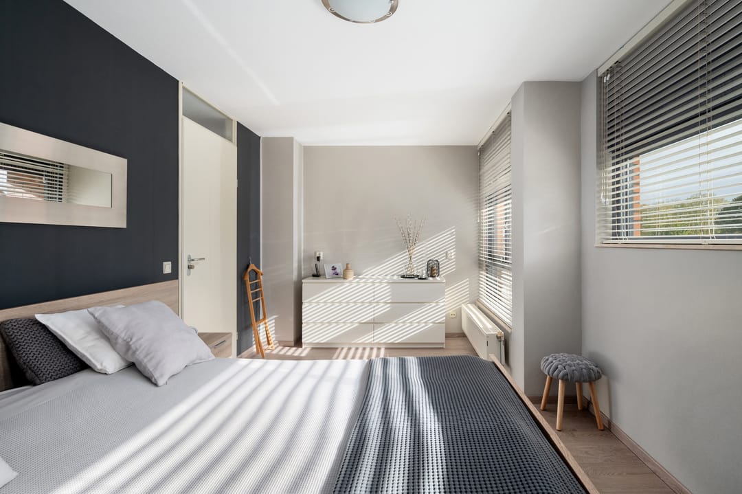 Foto 28 van Struisvaren 1