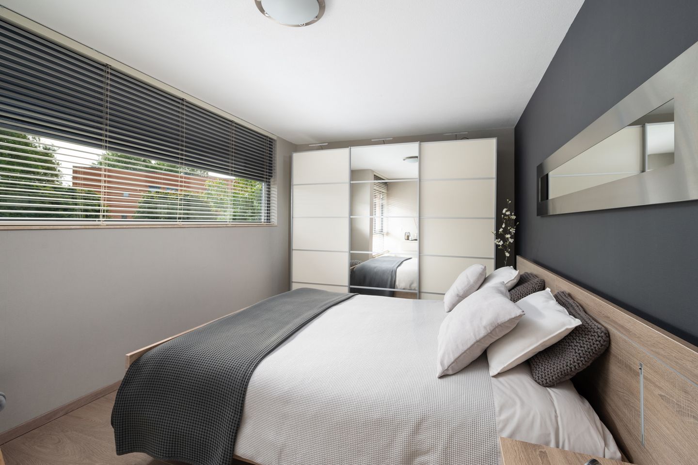 Foto 29 van Struisvaren 1