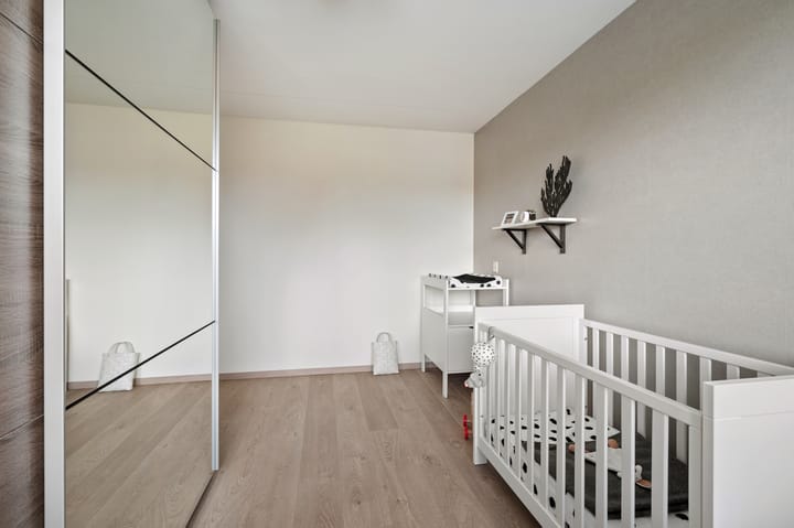 Foto 33 van Struisvaren 1