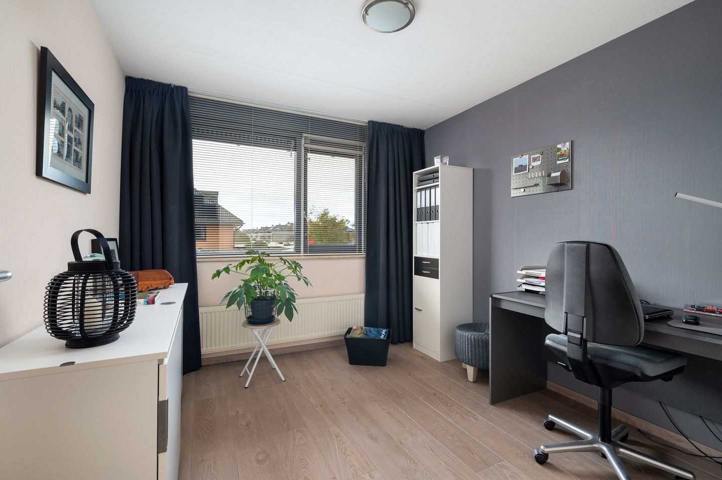 Foto 34 van Struisvaren 1