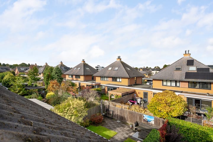 Foto 35 van Struisvaren 1