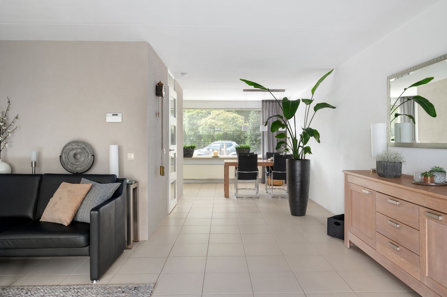 Foto 10 van Struisvaren 1