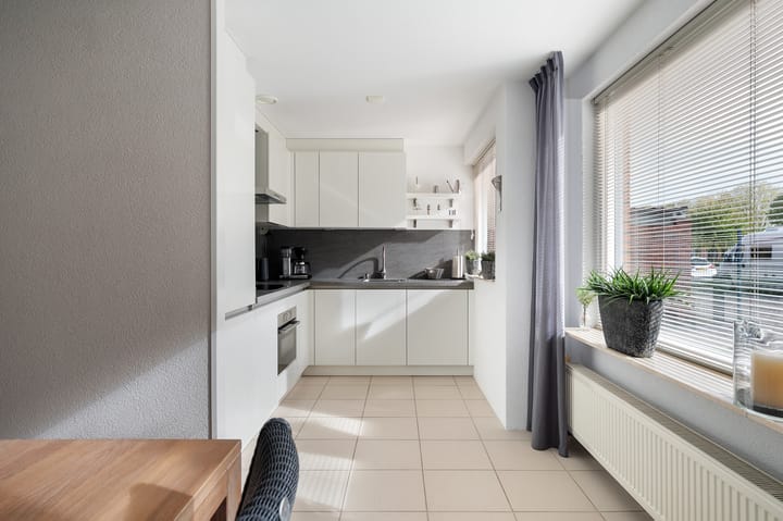 Foto 18 van Struisvaren 1