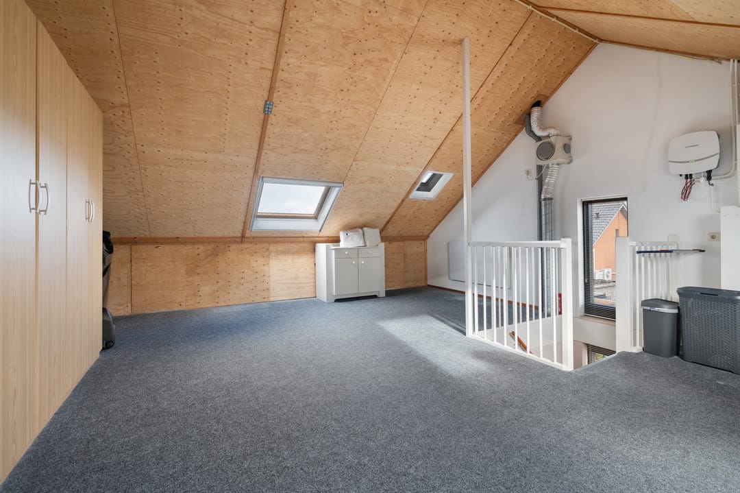 Foto 37 van Struisvaren 1