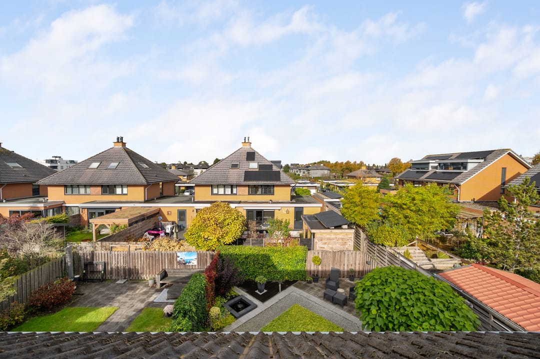 Foto 38 van Struisvaren 1