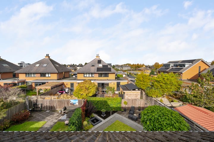 Foto 38 van Struisvaren 1