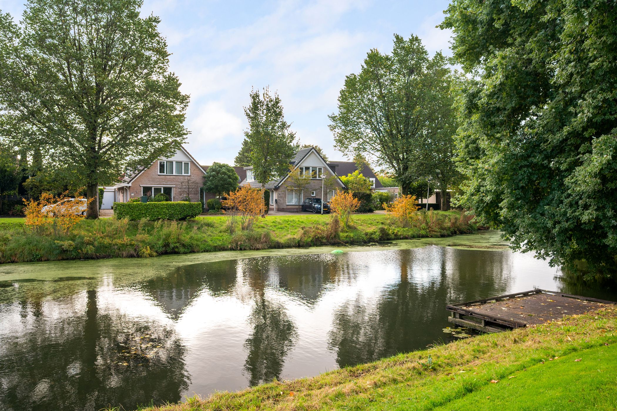 Foto 39 van Struisvaren 1