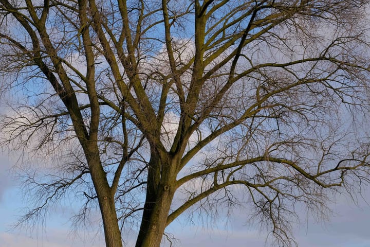 Foto 21 van Horstlaan 106