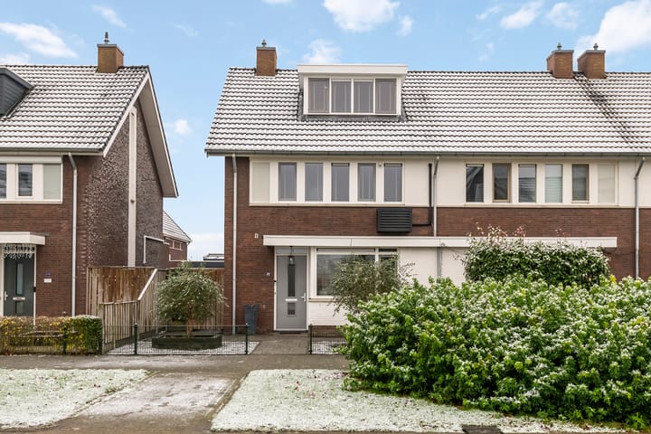 Foto 42 van Aardbeivlinder 172