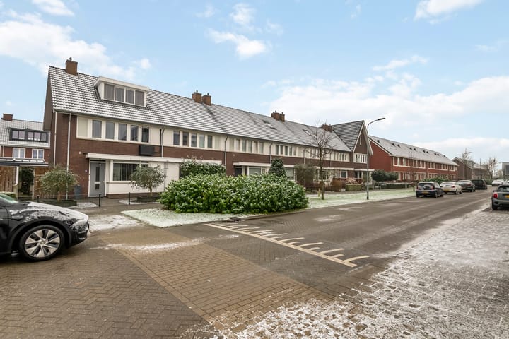 Foto 44 van Aardbeivlinder 172