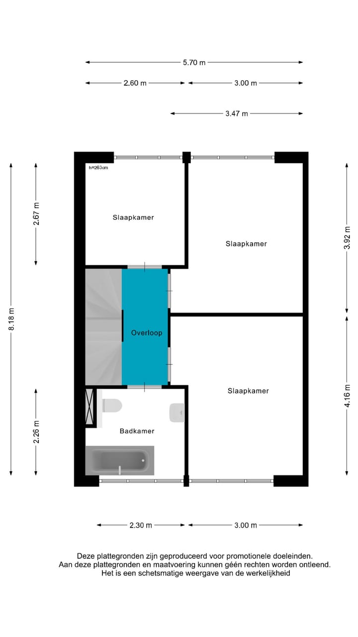 Foto 46 van Aardbeivlinder 172