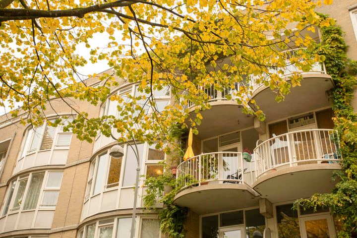 Foto 5 van Waaigat 61