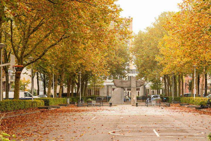 Foto 30 van Waaigat 61