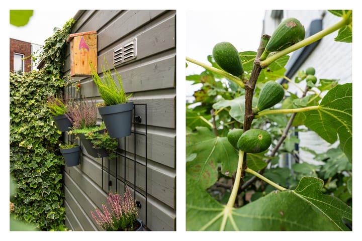 Foto 27 van Leidatoweg 30