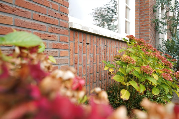 Foto 3 van Muntersgoed 25