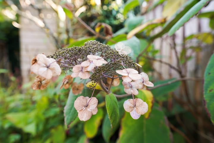 Foto 36 van Muntersgoed 25