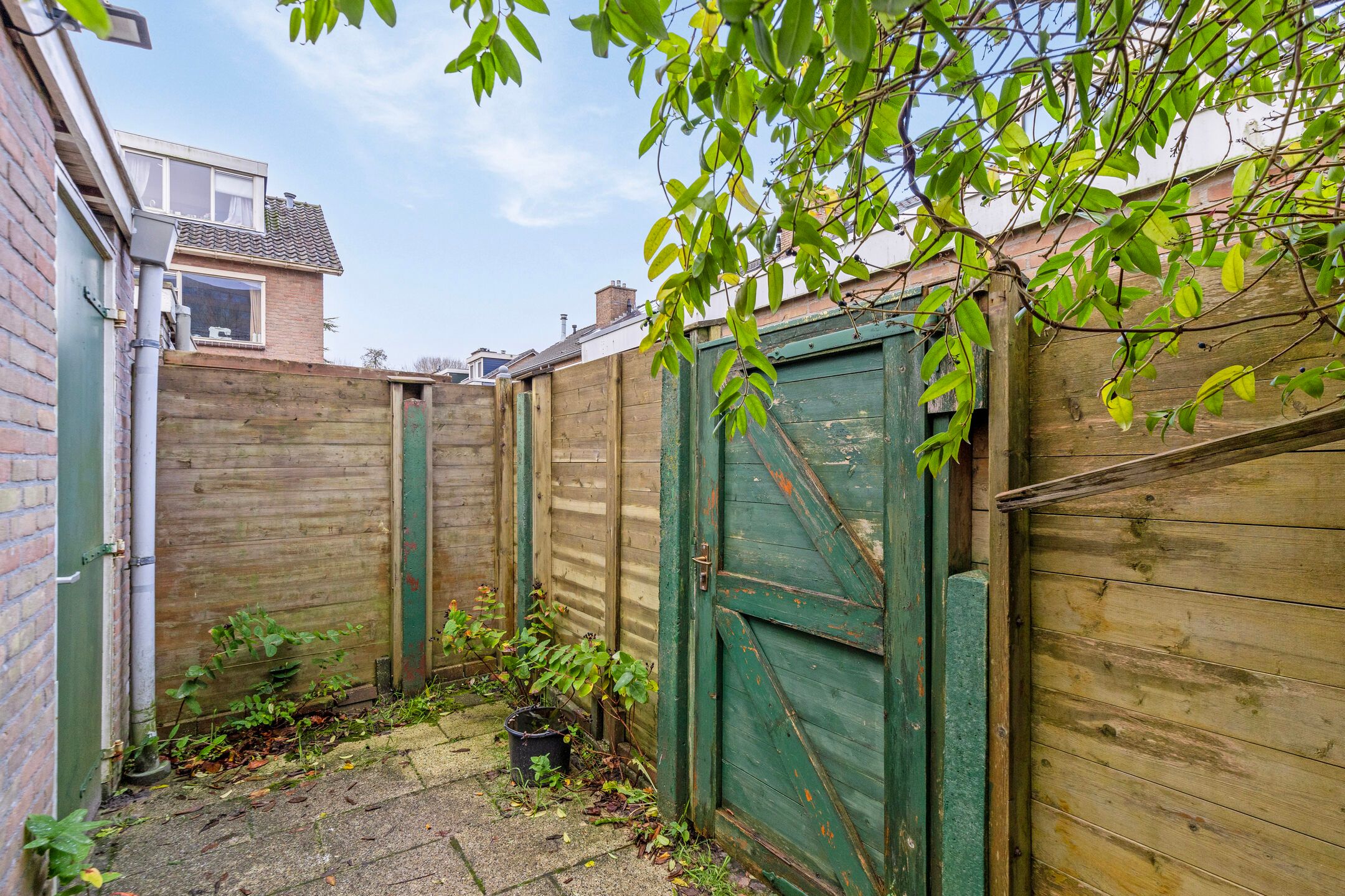 Foto 30 van Ranonkelstraat 12