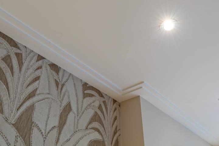 Foto 14 van Vrijheidsplantsoen 28