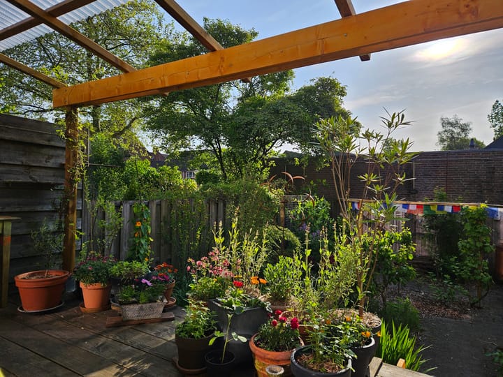 Foto 42 van Mauritshof 152