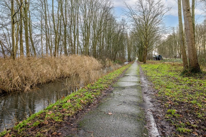 Foto 52 van Mauritshof 152