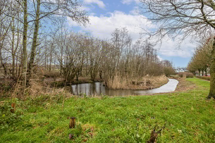 Foto 54 van Mauritshof 152