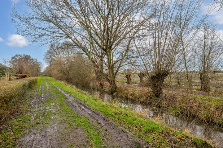 Foto 55 van Mauritshof 152