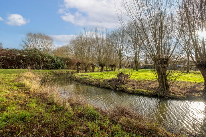 Foto 57 van Mauritshof 152