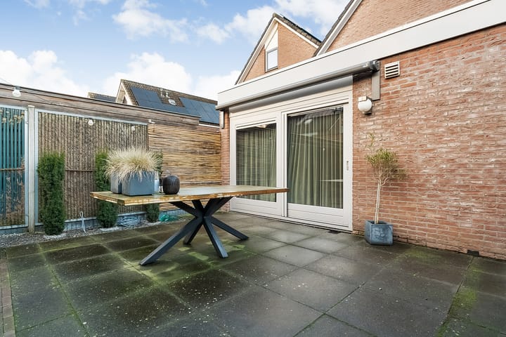 Foto 49 van Waterlelie 4