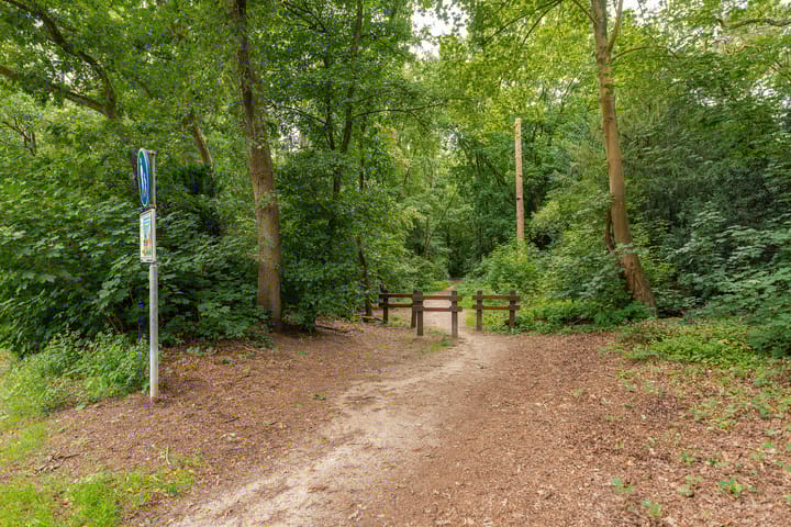 Foto 31 van Nachtegaallaan 14