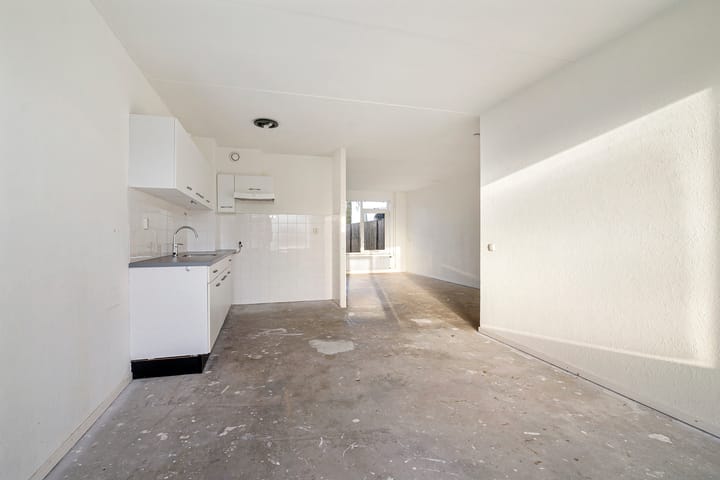 Foto 4 van De Leeuw 29