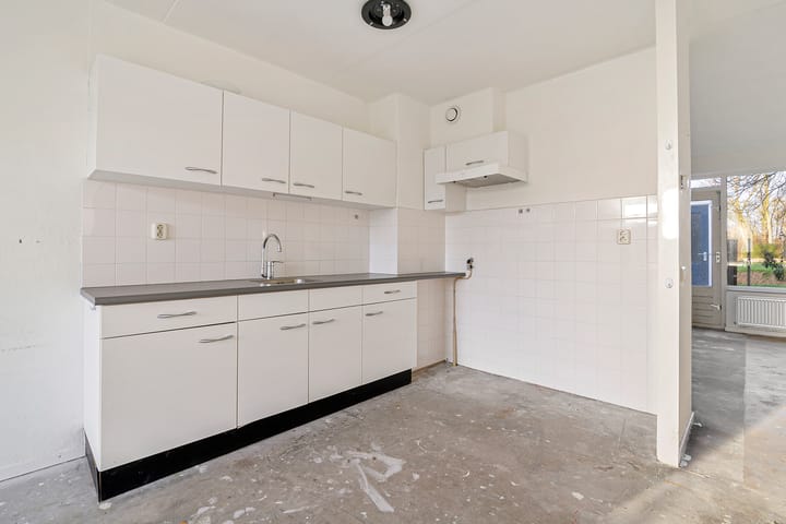 Foto 6 van De Leeuw 29