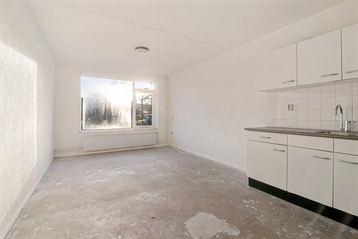 Foto 7 van De Leeuw 29