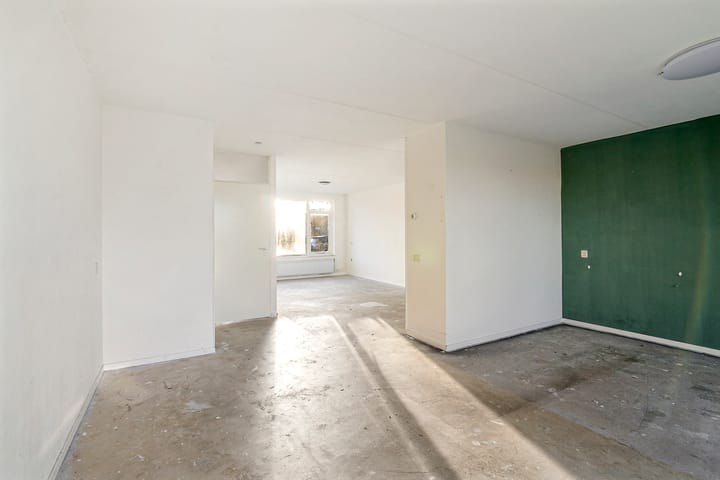 Foto 9 van De Leeuw 29