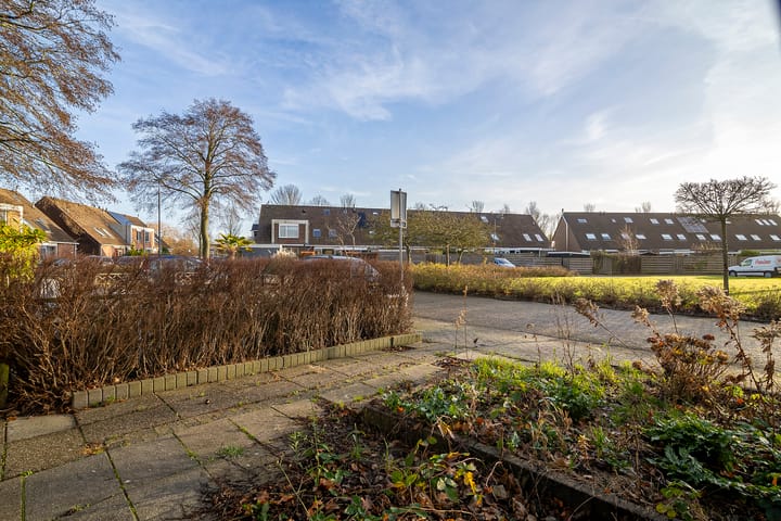 Foto 16 van De Leeuw 29