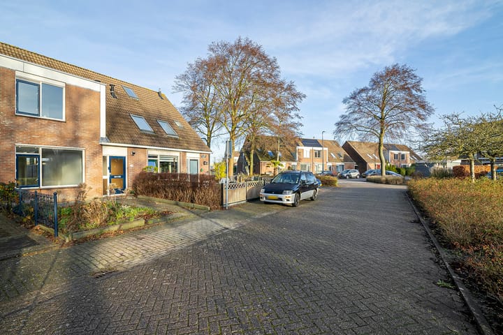 Foto 18 van De Leeuw 29