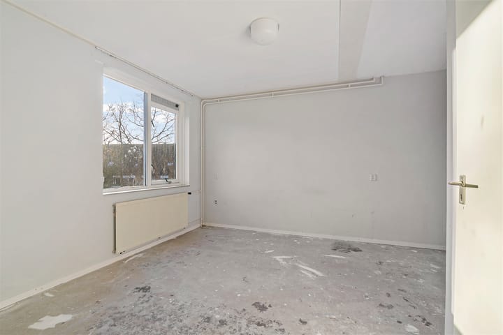 Foto 23 van De Leeuw 29