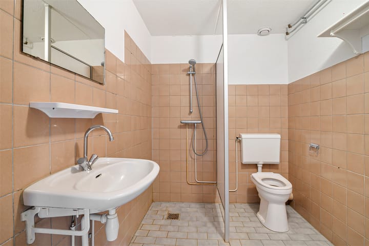 Foto 25 van De Leeuw 29