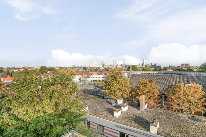 Foto 29 van Strevelsweg 49-B02