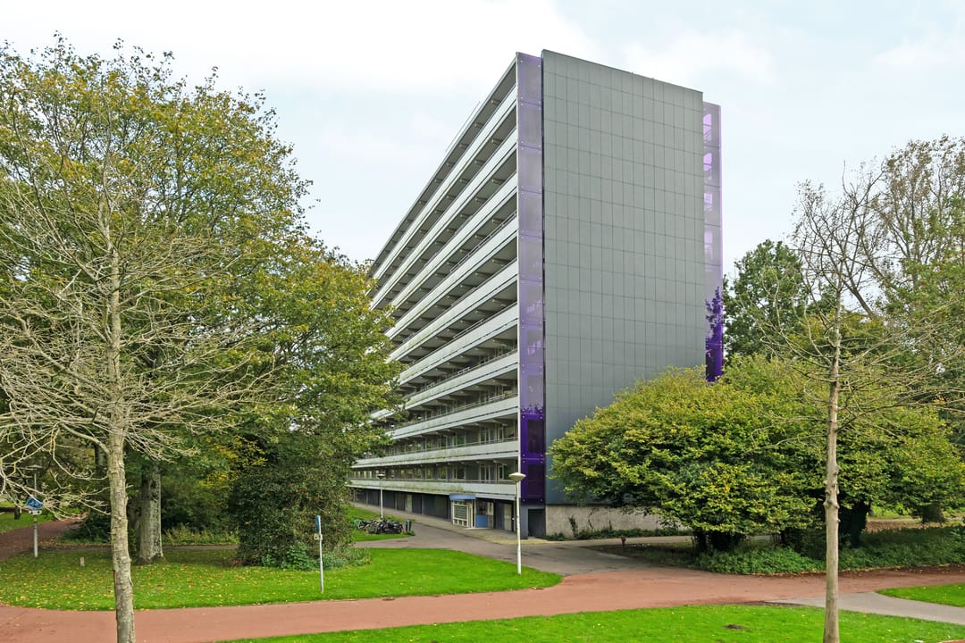 Foto 7 van Wipmolen 22