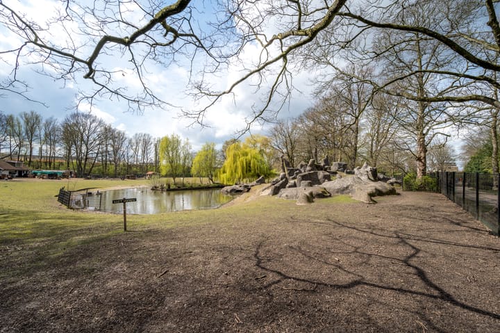 Foto 30 van Marnixlaan 18-B