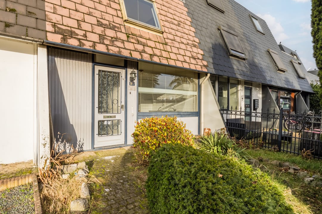 Foto 2 van Zwanenveld 3017