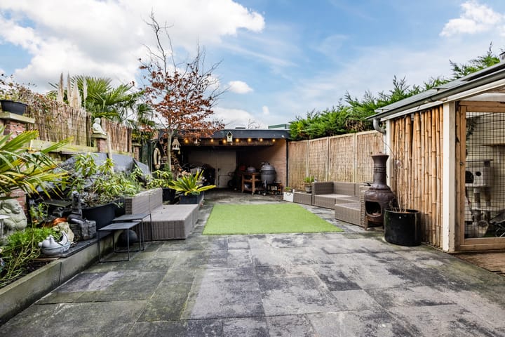 Foto 24 van Prunus 38