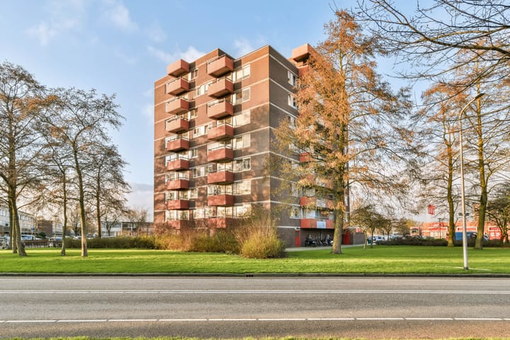 Foto 3 van Zevenblad 82