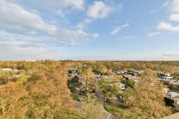 Foto 15 van Zevenblad 82